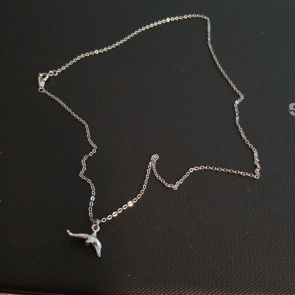 Sterling silver dolphin necklace (LBI Shop)